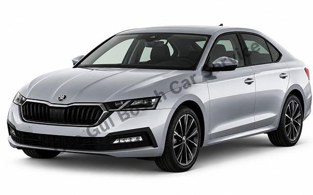 Afyon Skoda Servisi